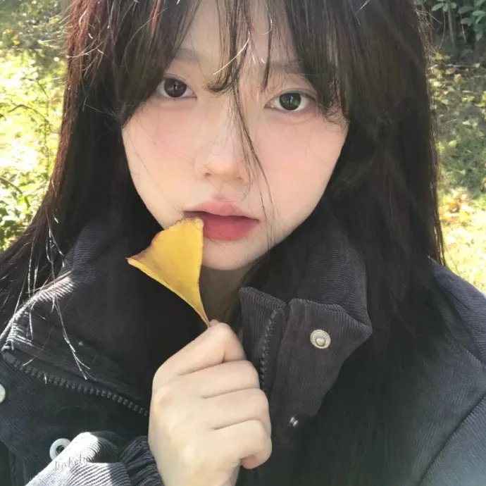 白象